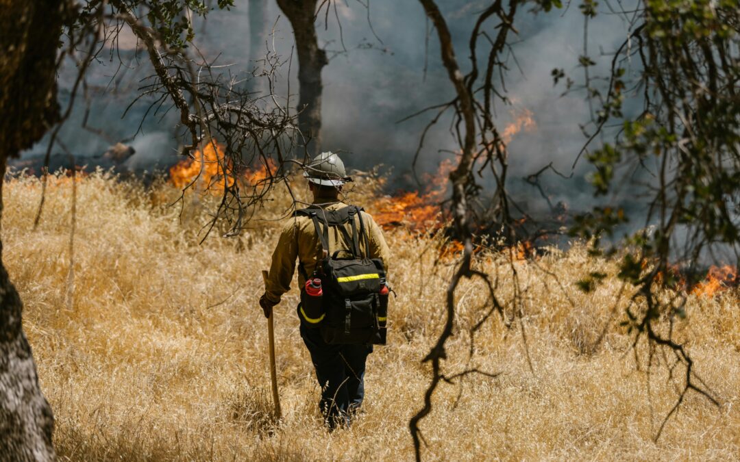Here’s what to do next if you were impacted by the wildfires